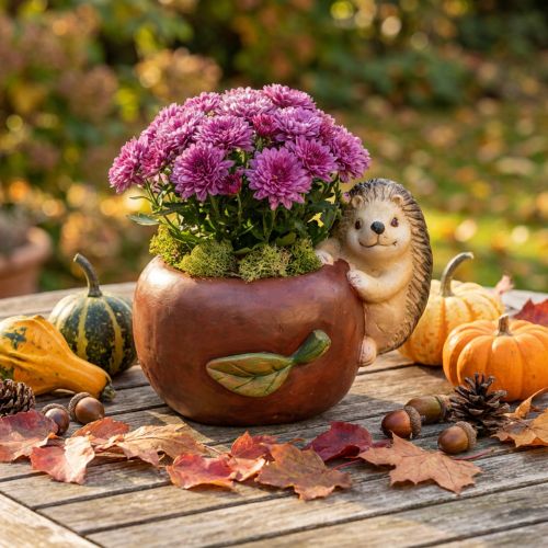 Plantenbak, appel met egel, herfstdecoratie, cachepot, keramiek Ø16cm H22cm B33cm | Floristik24.nl