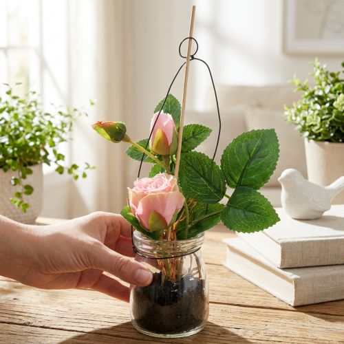 Roos in een glas Rosa H23cm | Floristik24.nl