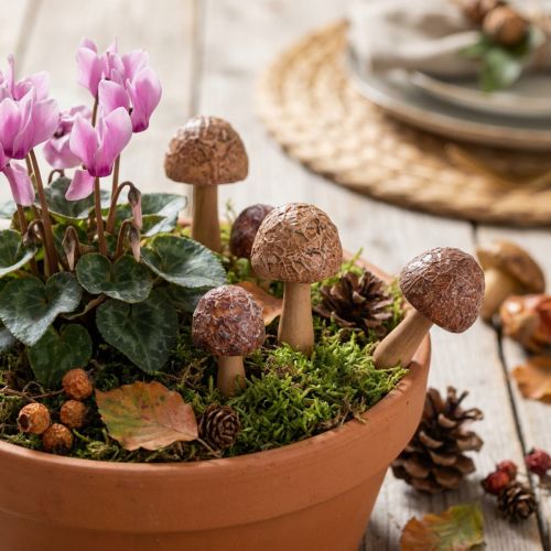 Artikel Bloemstokjes, paddenstoeldesign, houten decoratieve stokjes, bruin, Ø2,5 cm, 8 stuks