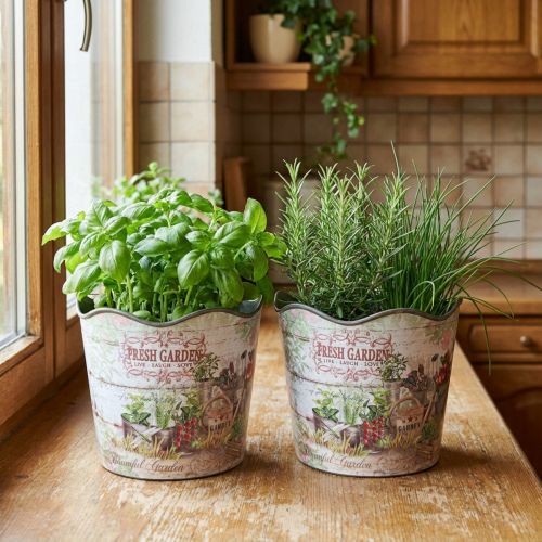 Artikel Kruidenpot bloempot kunststof Fresh Garden H13.5cm 2st