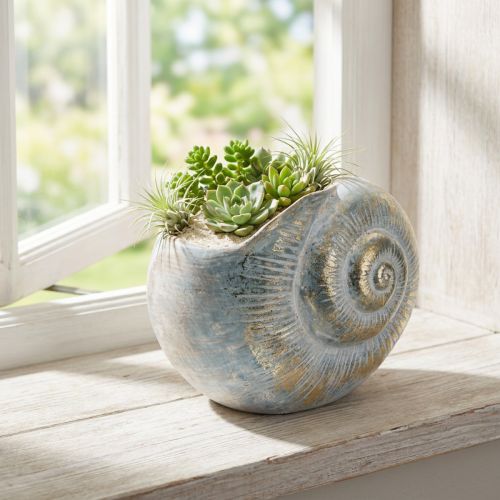 Artikel Decoratieve slakvormige container voor maritieme en natuurlijke wanddecoratie, grijs, 21 cm