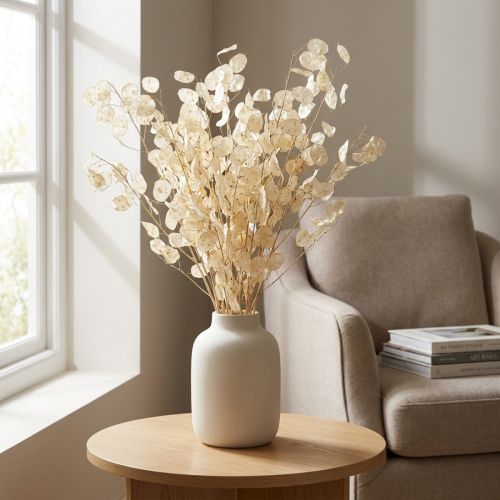 Lunaria Deco Maan Violet Zilverblad Gedroogd 90cm 100g | Floristik24.nl