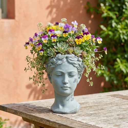 Plantenkop buste grijsblauw Ø8cm H15cm | Floristik24.nl