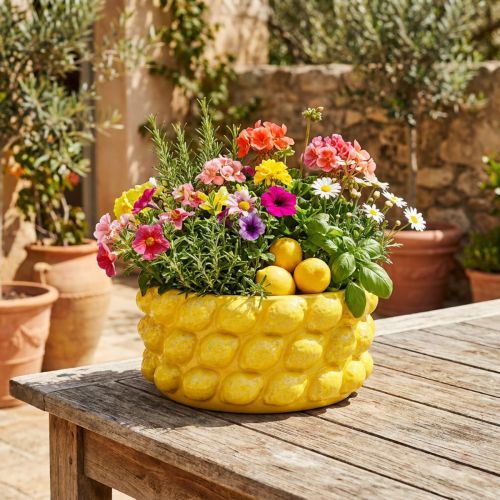 Plantenbak citroen keramiek schaal plantenbak geel Ø26cm H12cm | Floristik24.nl
