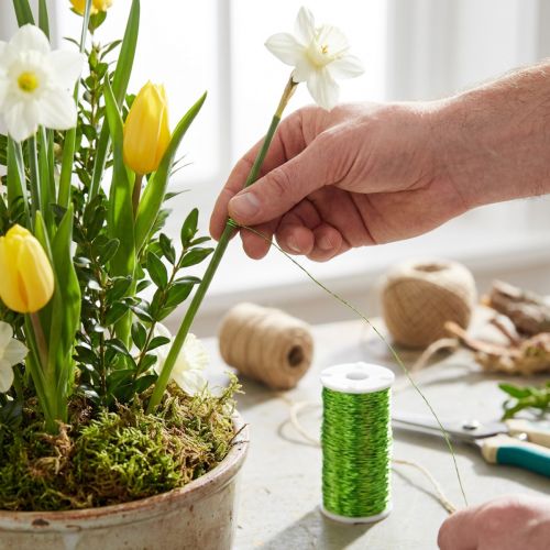 Bouillon effect draaddecoratie Ø0.30mm 100g 140m appelgroen bloemistendraad knutseldraad | Floristik24.nl