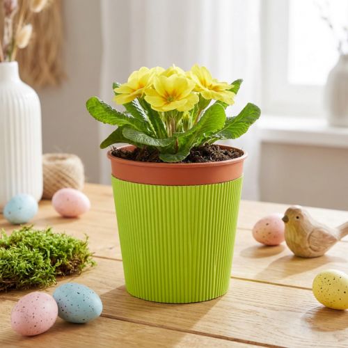 Geplooide manchetten voor bloempotten lichtgroen 14,5cm 100 stuks | Floristik24.nl