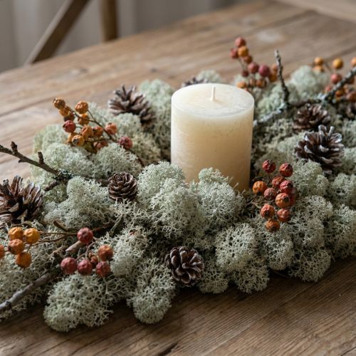 Decoratief mos, grijs natuurlijk mos voor knutselprojecten, gedroogd en geverfd, 500 g | Floristik24.nl