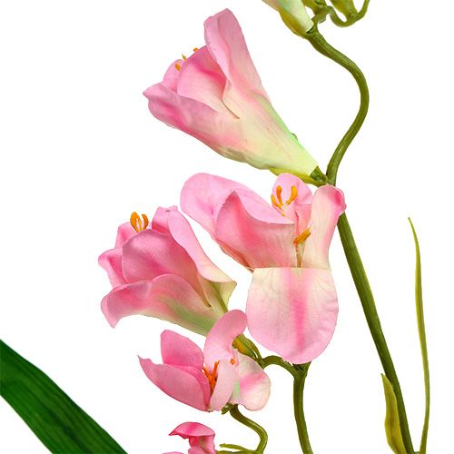 Floristik24 Freesia 56cm Roze 4st