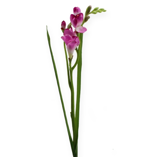 Floristik24 Kunstbloem fresie 56cm 3st.