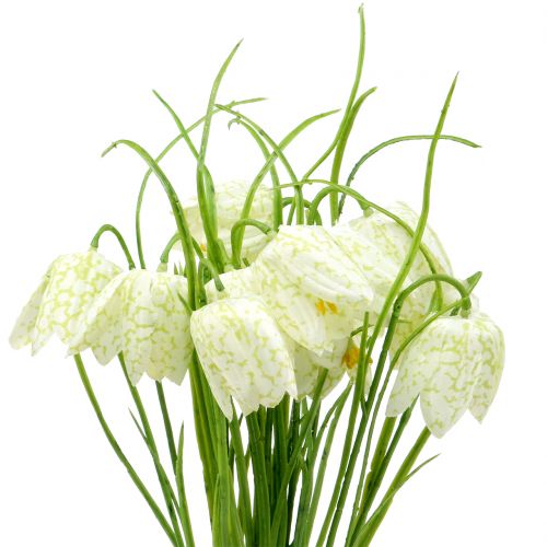 Floristik24 Schaakbordbloemen Fritillaria kunstwit, groen 40cm 12 st