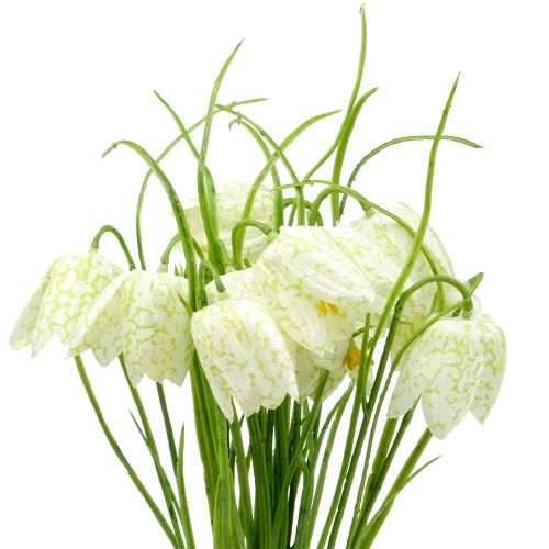 Floristik24 Schaakbord bloemen Fritillaria kunst wit, groen 40cm 12st