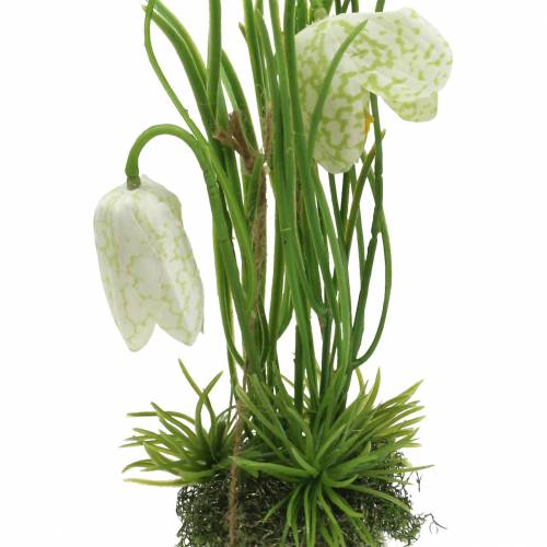 Floristik24 Fritilaria in de eierschaal om op te hangen kunstmatig Groen, Wit 25cm