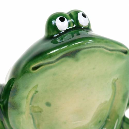 Floristik24 Decoratieve kikker kunststeen groen 9cm H5,8cm