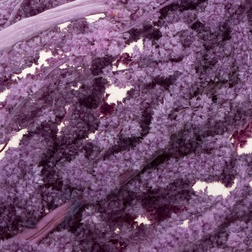 Artikel Gedroogde vossenstaartbloemen, geverfd, voor moderne huisdecoratie, 100 cm, 5 stuks