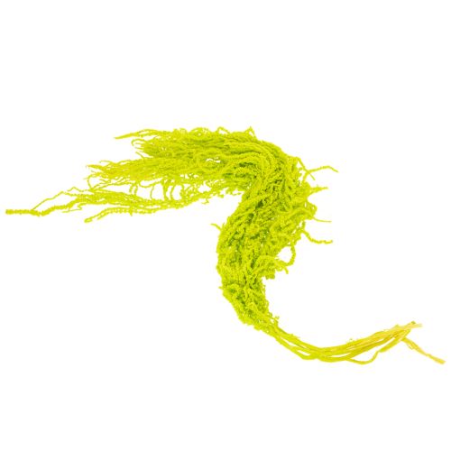 Artikel Gedroogde vossenstaartbloemen, geverfd, voor bijzondere woondecoratie en unieke accenten, 100 cm, 5 stuks