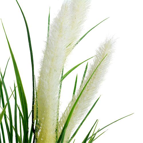 Floristik24 Vossestaart gras groen, wit 63cm