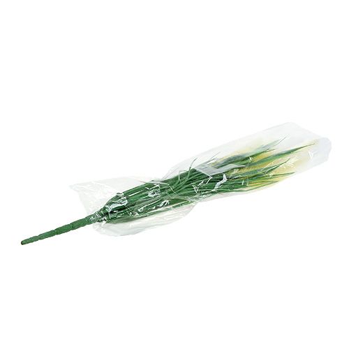Floristik24 Vossestaart gras groen, wit 63cm