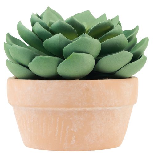 Vetplant in pot Echeveria kunstgroen Ø15cm