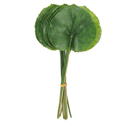 Artikel Galax Urceolata Bladeren Kunstmatig Groen Ø10cm L23cm 12 stuks