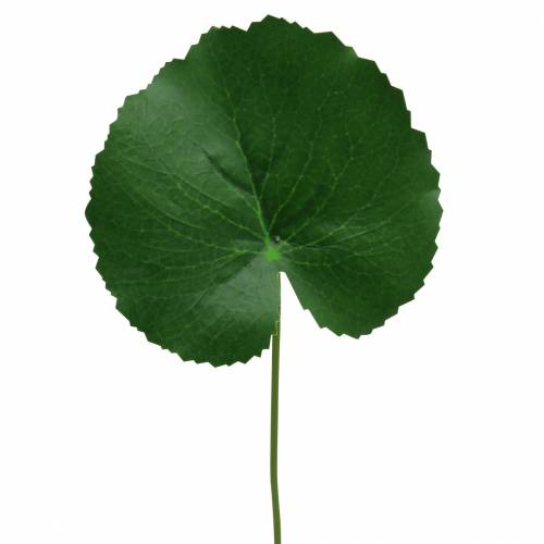 Floristik24 Bronzen plaat Galax kunstgroen Ø9cm H30cm 12st