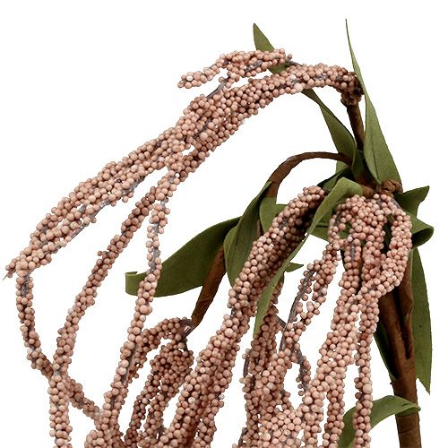 Floristik24 Tuinvossenstaart 95cm