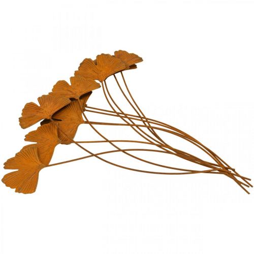 Floristik24 Tuinsteker roest gingko blad bedsteker 7x5cm 6st