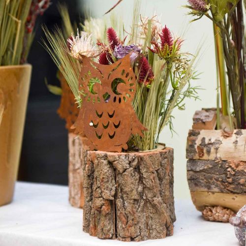 Floristik24 Tuinstaken uil patina, herfst, metalen decoratie H32cm 6st