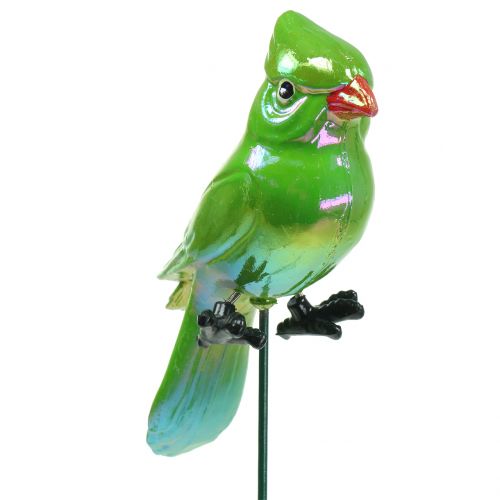 Floristik24 Tuinplug papegaai groen 16cm