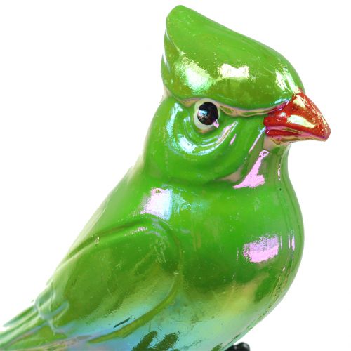 Artikel Tuinplug papegaai groen 16cm