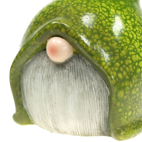 Floristik24 Tuinkabouter Kabouter Groen 20cm