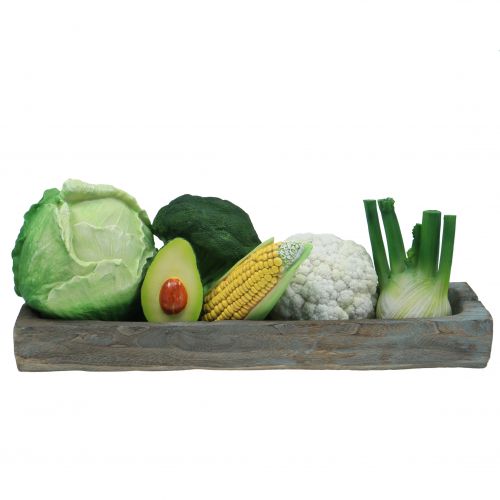 Floristik24 Witte kool Ø16cm