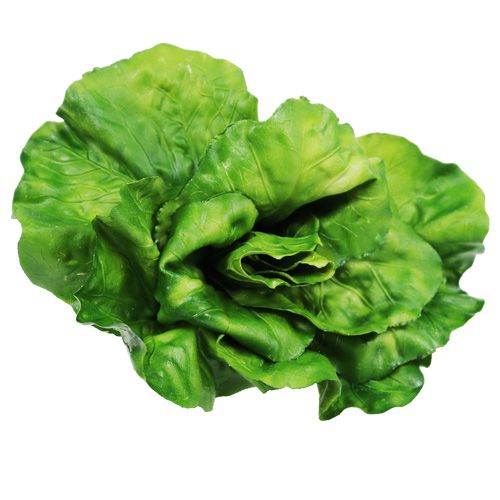 Floristik24 Groentenassortiment op het net