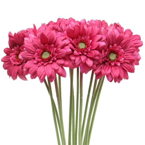 Floristik24 Gerbera Roze 48cm 12st