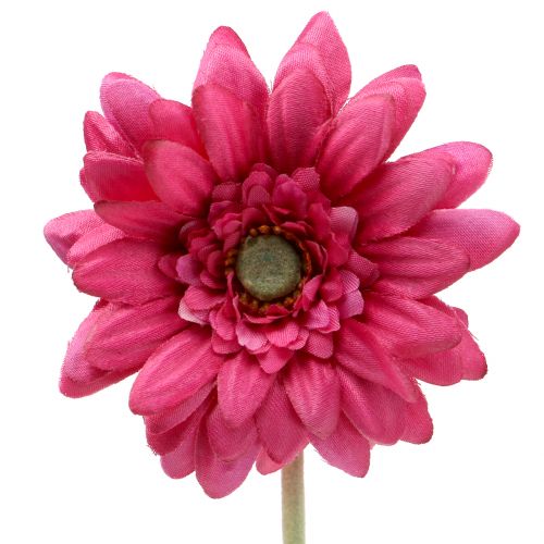 Gerbera Roze 48cm 12st