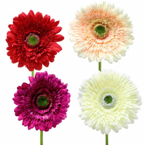 Floristik24.nl Gerbera L62cm Verschillende kleuren - goedkoop online kopen