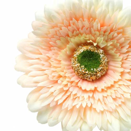 Floristik24 Gerbera kunstmatige perzik 62cm 6st