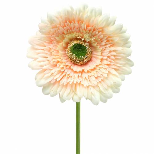 Floristik24 Gerbera kunstmatige perzik 62cm 6st