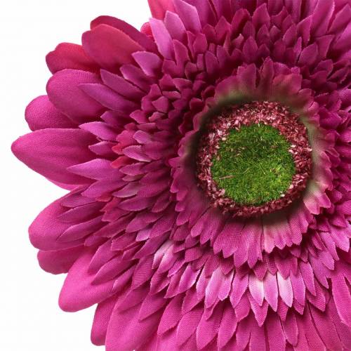 Floristik24 Gerbera kunstmatig paars 62cm 6st