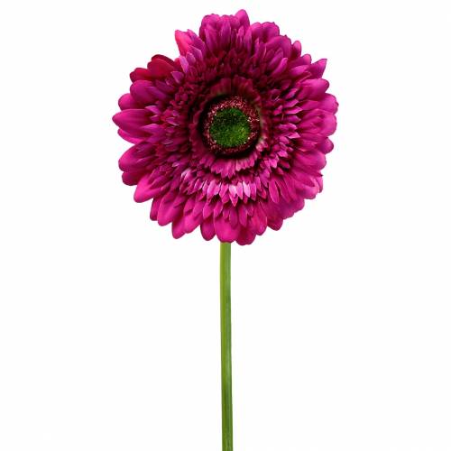 Floristik24 Gerbera kunstmatig paars 62cm 6st