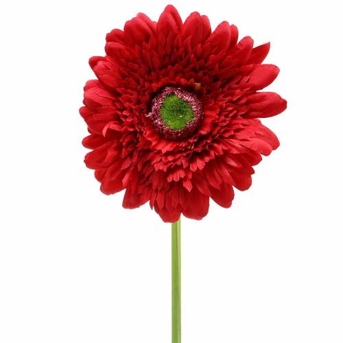 Floristik24 Gerbera kunstrood 62cm 6st