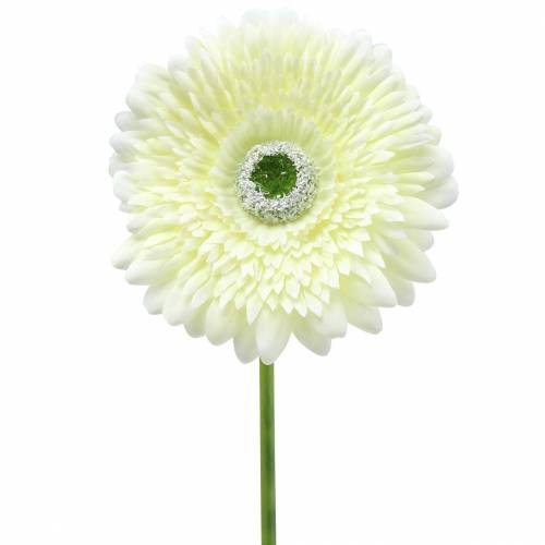 Gerbera kunst wit 62cm 6 st