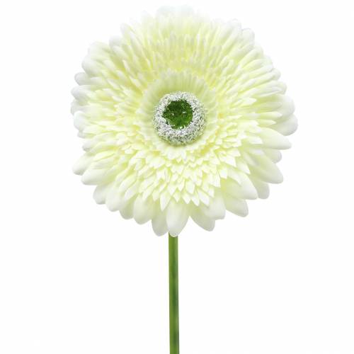 Floristik24 Gerbera kunst wit 62cm 6st