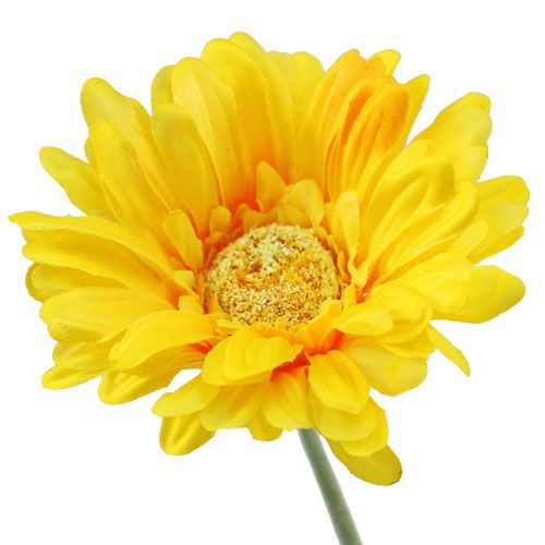 Floristik24 Gerbera kunstgeel Ø10cm L55cm 6st