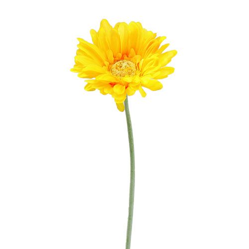 Floristik24 Gerbera kunstgeel Ø10cm L55cm 6st
