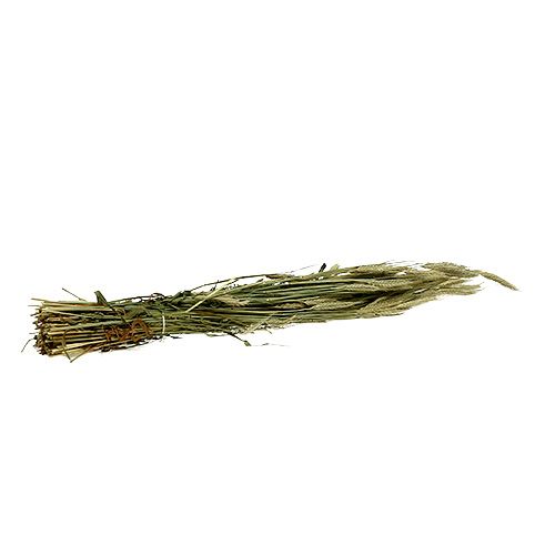 Artikel Gerstkorrel decoratie droge decoratie naturel 80cm bos 1 stuk