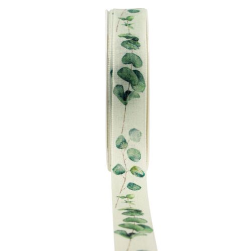 Floristik24 Cadeaulint eucalyptus sierlint groen 25mm 20m