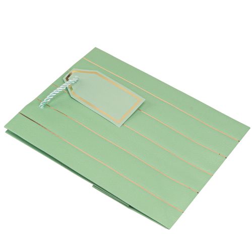 Artikel Cadeauzakje lichtgroen gouden strepen 18×10×23cm 1 st