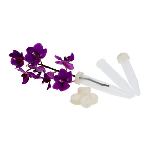 Arrangement buizen 7,5 x 1,2 cm 100 stuks