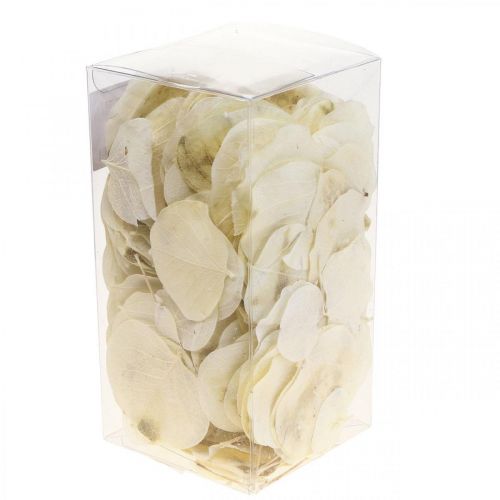 Artikel Decoratie gedroogde bladeren Moneta droge bloemisterijcrème 100g