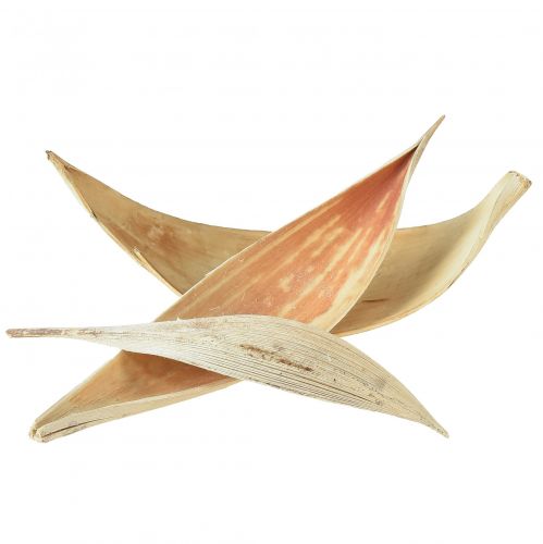 Kokosschalen, gebleekte kokosbladeren, 22-42cm, 25 stuks